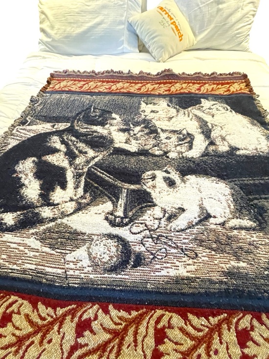 Other - Cat family throw, vintage, soft and warm, reversible, well loved, pilling